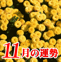 １１月の運勢