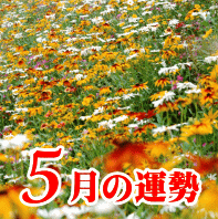 ５月の運勢