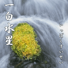 一白水星の運勢