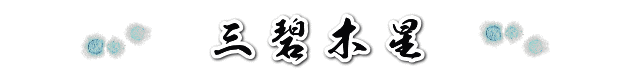 三碧木星の２０１９年の運勢