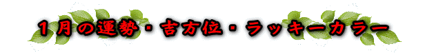 QOQSNP̉^EgʁEbL[J[