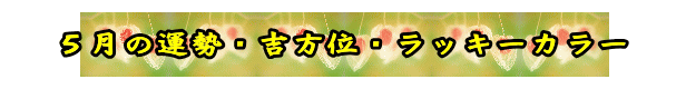 QOQSNT̉^EgʁEbL[J[