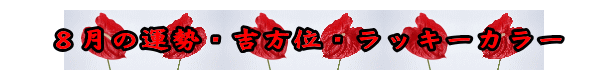 QOQSNW̉^EgʁEbL[J[