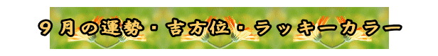 QOQSNX̉^EgʁEbL[J[